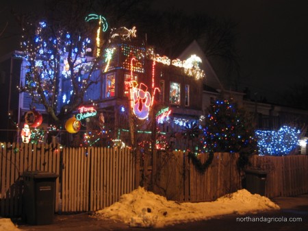 Christmas lights on Belle Aire Terrace